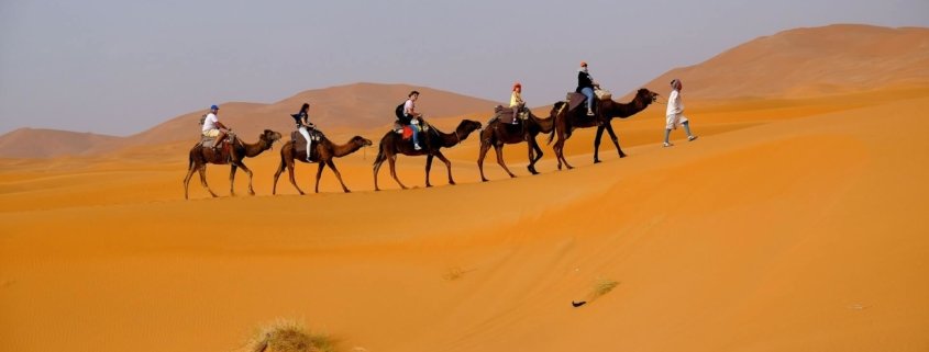 people Camel riding in Morocco's sahara desert