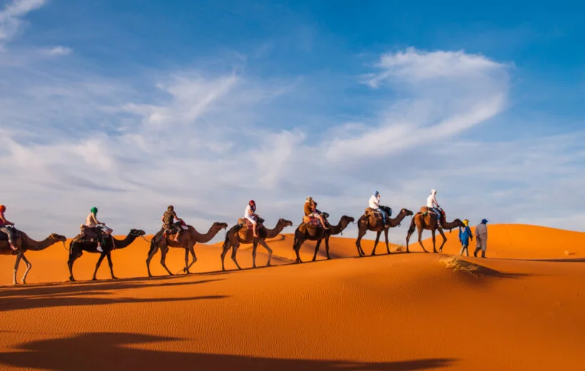 Desert tour with camels
