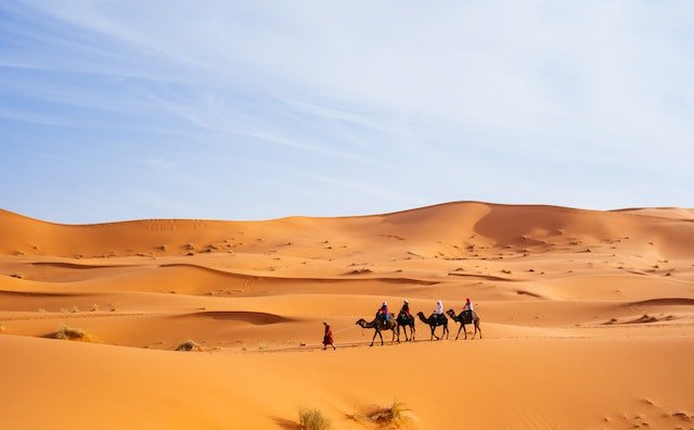 camels-in-sahara-tour-desert
