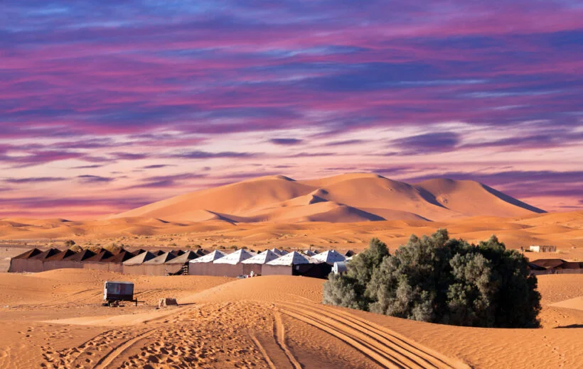 luxury desert camp 