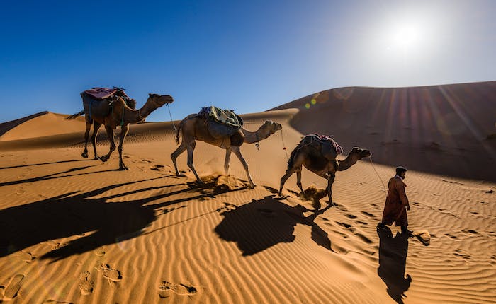 morocco travel explorer